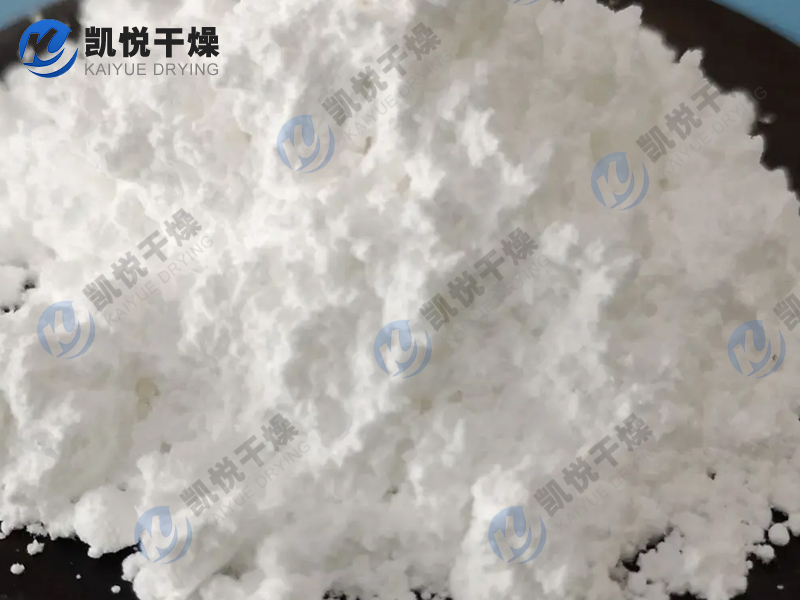 碳酸锂盘式干燥机