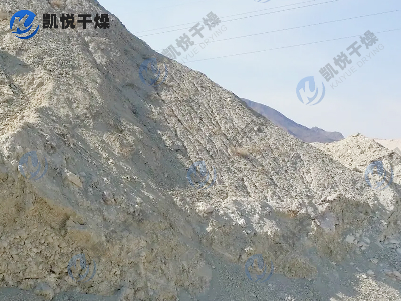 高岭土污泥干燥机